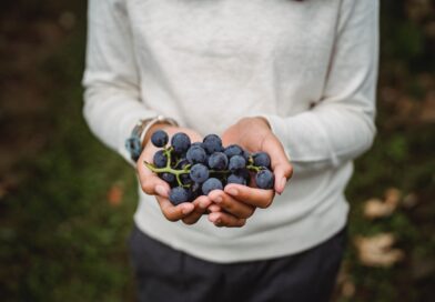 Pet Nat – Pétillant-Naturel – Ein Sprudelnder Genuss